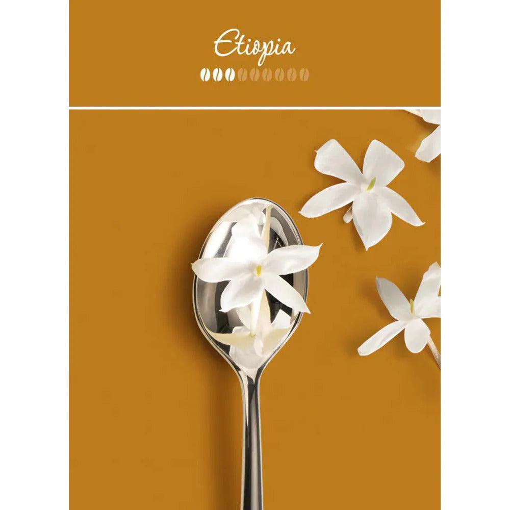 Illy Ethiopia Cafea Boabe 250g.