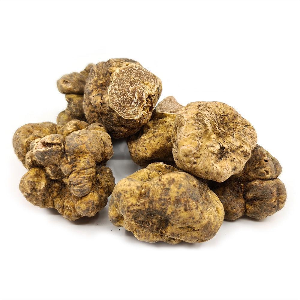 Trufe albe de Piemont (Tuber magnatum) TRUFO