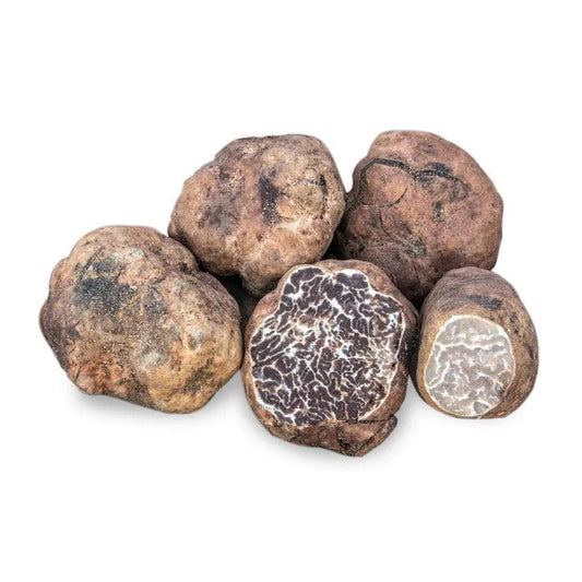 Trufe albe de primăvară (Tuber borchii) TRUFO