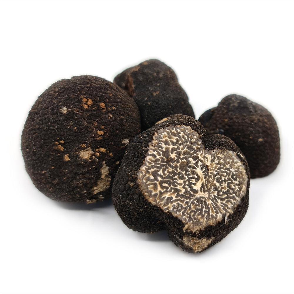 Trufe de iarnă (Tuber brumale) TRUFO