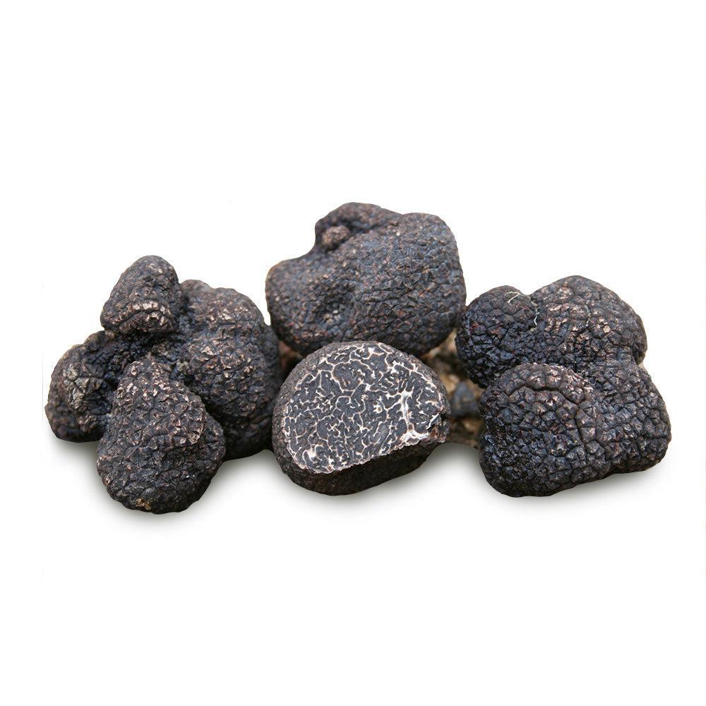 Trufe negre Perigord (Tuber melanosporum)