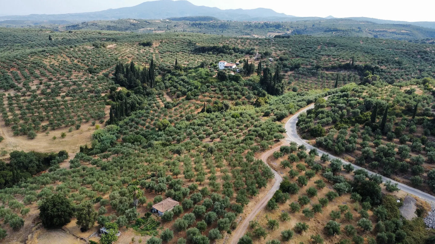 Pastă de Măsline Ad Olivetum 110g Ad Oliventum