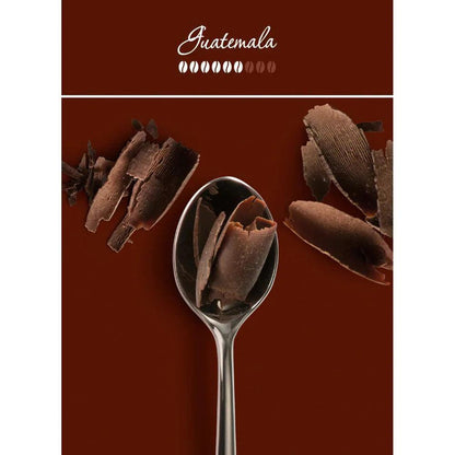 Illy Guatemala Cafea Boabe 250g