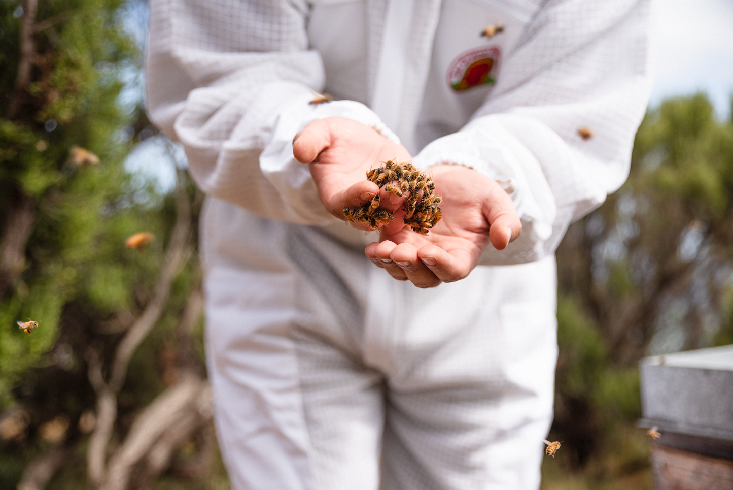 Miere de Manuka MGO400 ANUK 150g