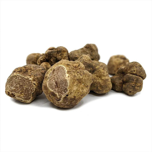 Trufe albe de Piemont (Tuber magnatum) TRUFO.