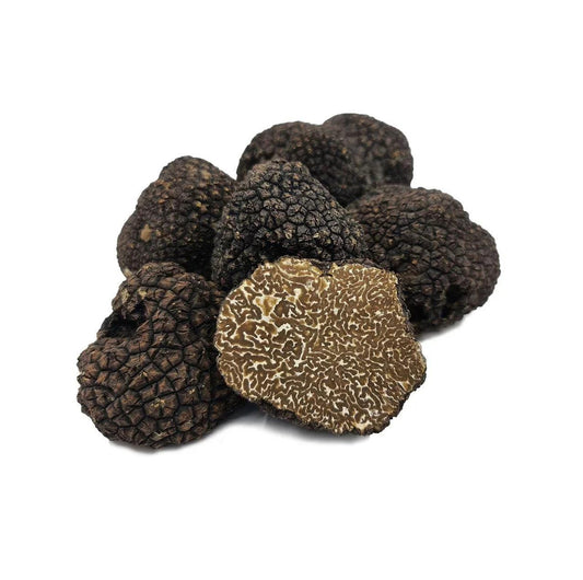 Trufe de Burgundia (Tuber uncinatum) TRUFO.