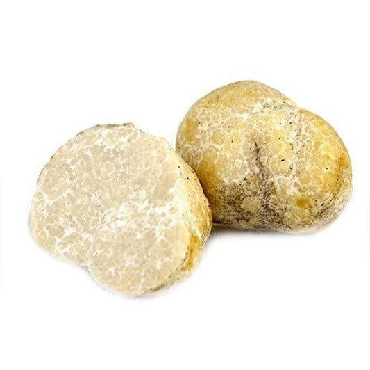Trufe de nisip (Mattirolomyces terfezioides) TRUFO.