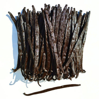 Vanilie Naturală Planifolia din Uganda – 2 Păstăi | Vanissa