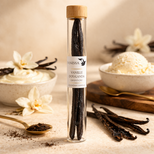 Vanilie Naturală Planifolia din Uganda – 2 Păstăi | Vanissa